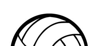 volleyball coloring book to print