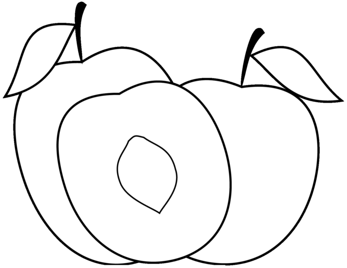Bild eines geschnittenen Pfirsichs zum Ausdrucken