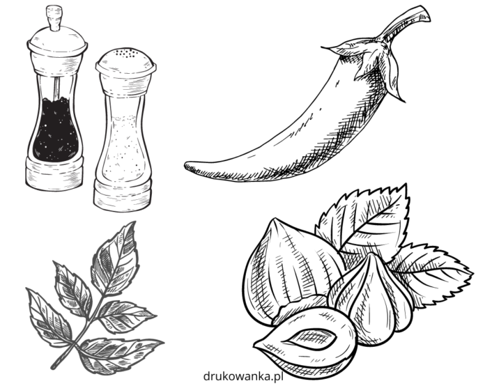 kitchen spices coloring book to print