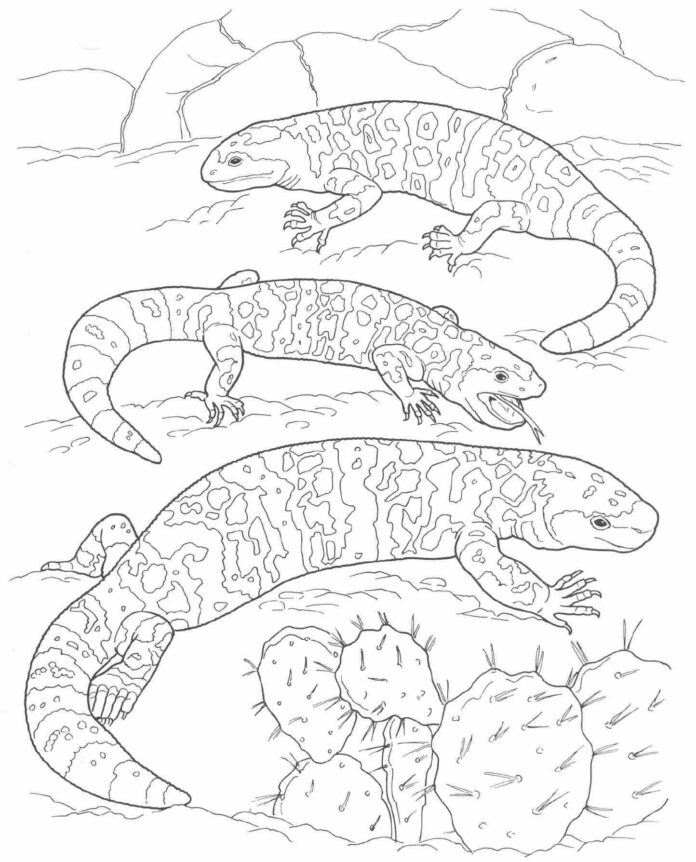 desert animals coloring book to print