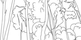 livre de coloriage "La forêt en feu" à imprimer