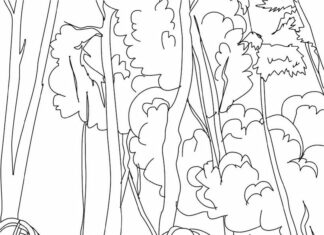 forest on fire coloring book to print