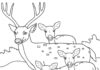 família de cervos em um livro de coloração para imprimir