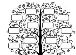 página para colorear del árbol genealógico