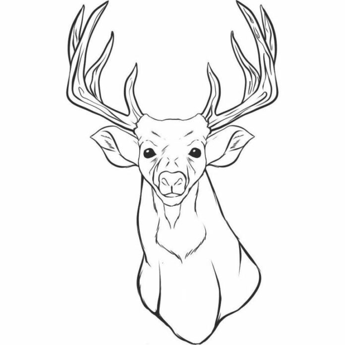 deer horns and head coloring book to print