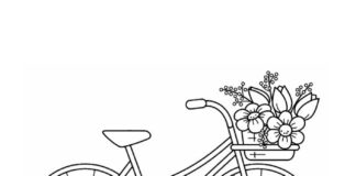 bicycle with basket colouring book to print