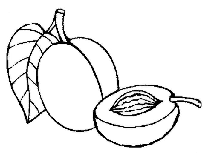 Delte abrikoser til udskrivning, billede til udskrivning