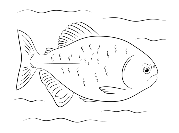 livre à colorier poisson piranha à imprimer