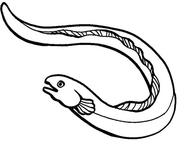 libro para colorear de peces anguila para imprimir