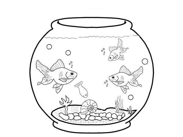 rybičky v akváriu na vytlačenie