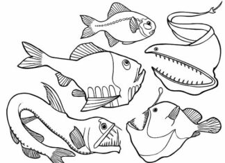 tengeri halak gyerekeknek nyomtatható színező könyv