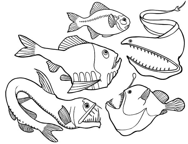 poissons de mer pour enfants - livre à colorier à imprimer