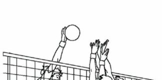 volleyball players coloring book to print