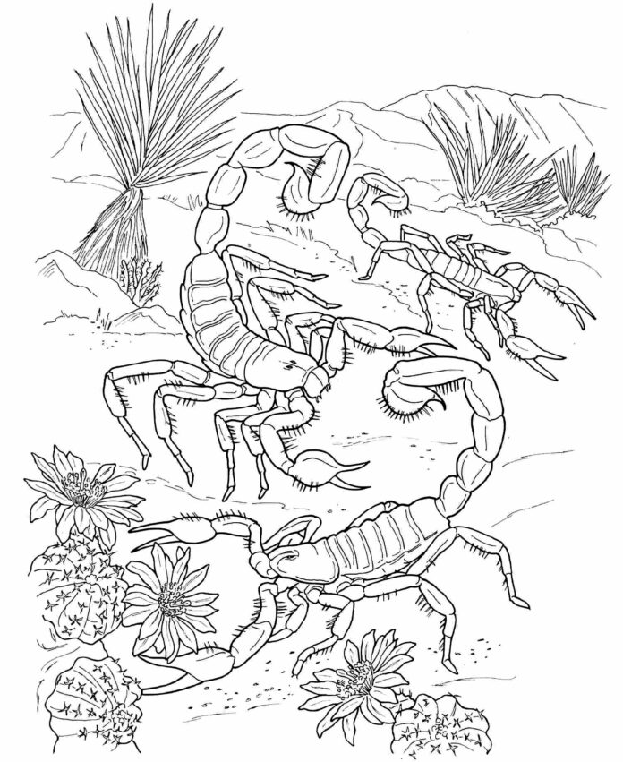 livre de coloriage sur les scorpions du désert à imprimer