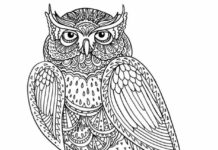 owl japanese patterns coloring book to print