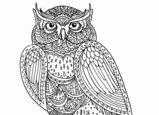 owl japanese patterns coloring book to print