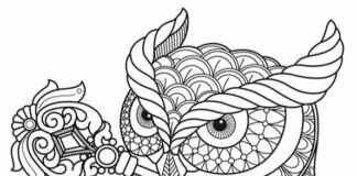 owl printable coloring book