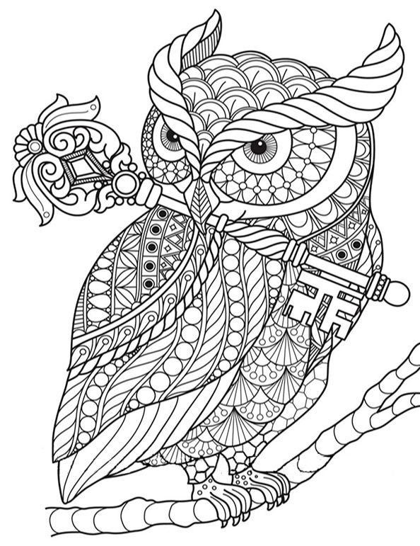 owl printable coloring book