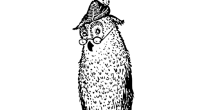 hibou avec un livre livre de coloriage à imprimer