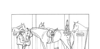 horse stud find the differences coloring book to print