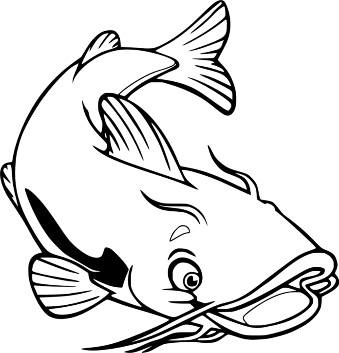 catfish for kids coloring book to print