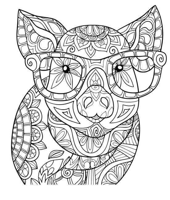 Mandala świnka obrazek do drukowania