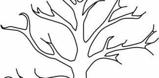 plantilla árbol sin hojas libro para colorear para imprimir