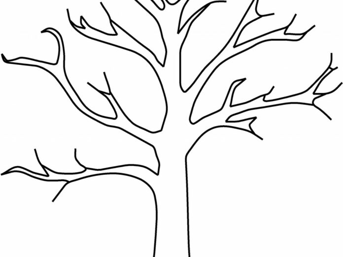 šablona stromu bez listů k vytisknutí omalovánky