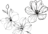 flower template coloring book to print