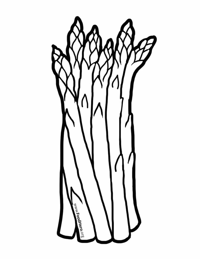 asparagus picture to print