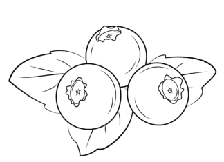 tři borůvky k vytisknutí omalovánky