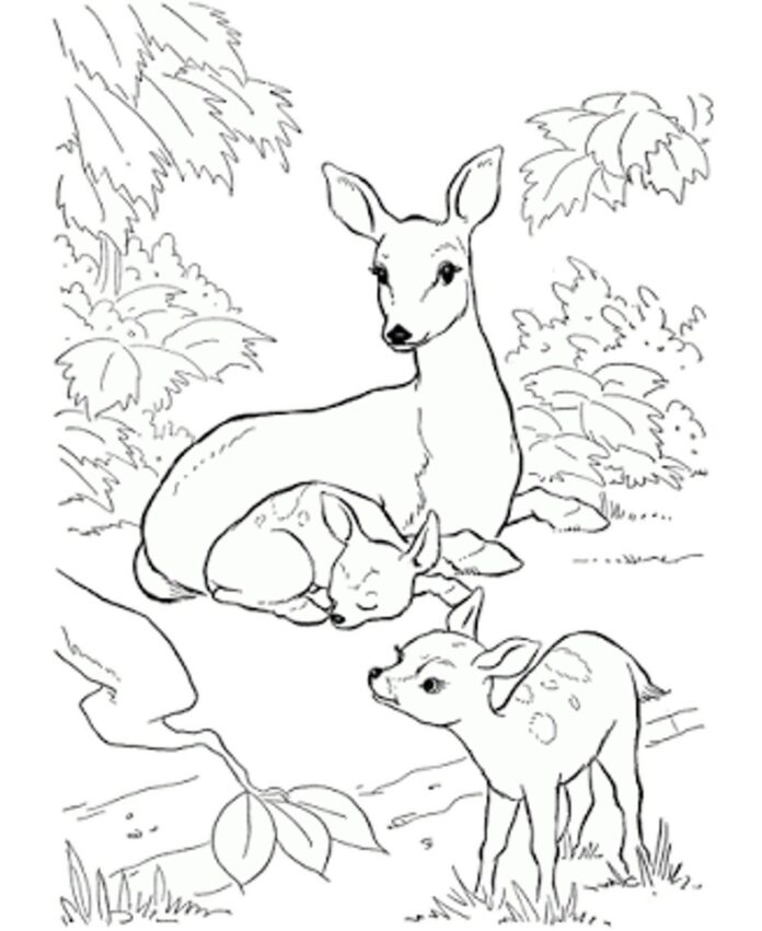 three deer coloring book to print