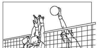 volleyball tournament coloring book to print