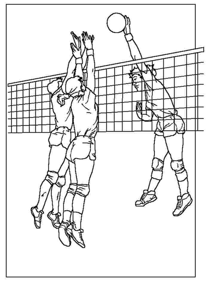 volleyball tournament coloring book to print