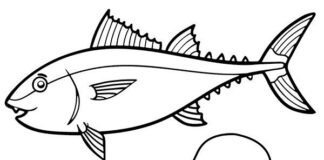 livre à colorier thon et poissons de mer à imprimer
