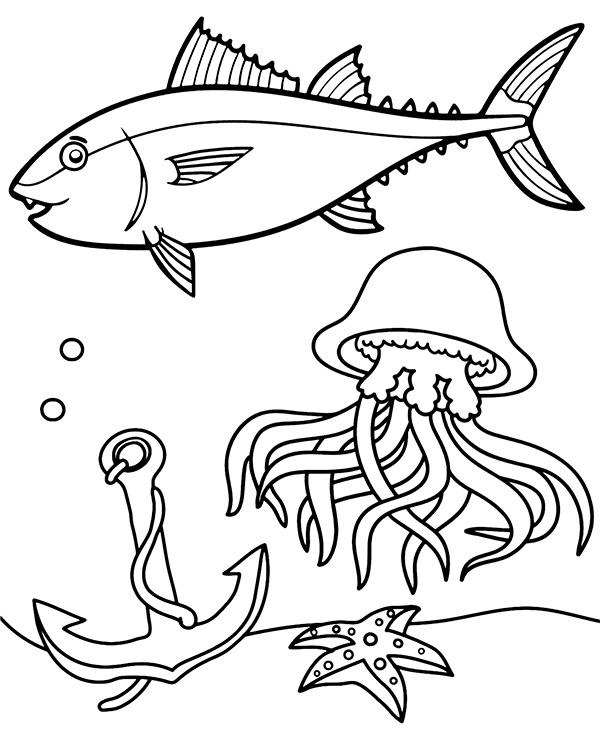 livro de coloração de atum e peixe do mar para imprimir