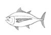 Thunfisch-Unterwasser-Malbuch zum Ausdrucken