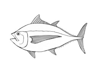 tuna underwater coloring book to print