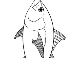 Thunfisch schwimmendes Malbuch zum Ausdrucken