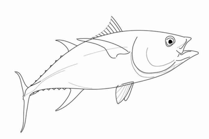 tuna fish coloring book to print