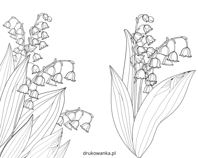 Spring Lily coloring book to print and online