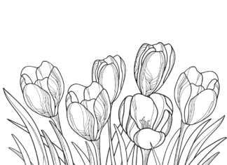 spring crocuses in the garden coloring book to print