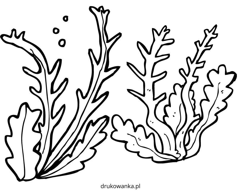 Libro para colorear de algas marinas para imprimir y en línea