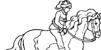 racing horse coloring book to print