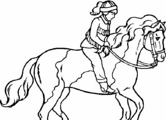 racing horse coloring book to print