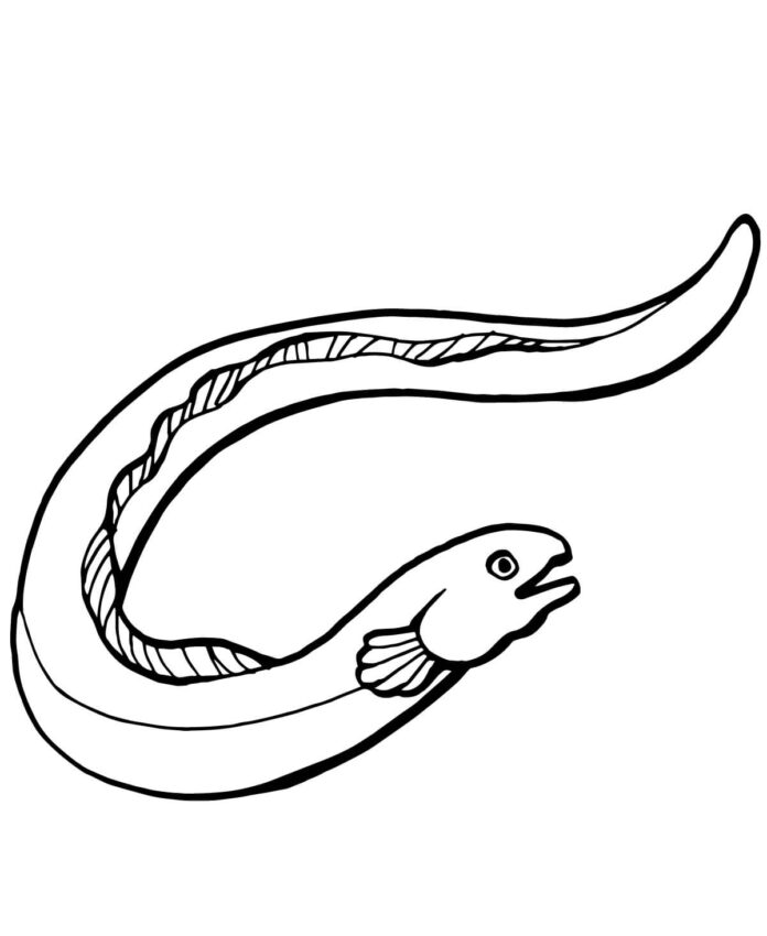 hoja de anguila para colorear imprimible