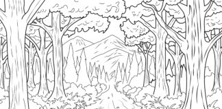 enchanted forest coloring book to print