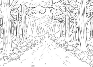 enchanted forest coloring book to print