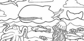 lost ocean coloring book to print