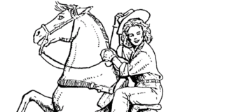 horse competition coloring book to print